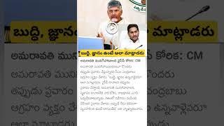 CM Chandrababu Fires on YS Jagan