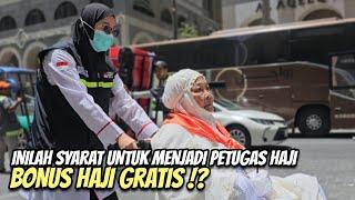 SYARAT UNTUK JADI PETUGAS HAJI SEPERTI INI