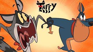 Taffy's Great Adventures | Taffy - Compilation in English