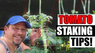 Tomato Staking 3 Ways - Garden Quickie Episode 204