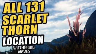 All 131 Scarletthorn Ore Farming Route Location | Weapon Craft Materials | Wuthering Wave