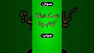 Quiz Sufi | Islamic Questions Answers Urdu | Islami Sawal Jawab | Islamic Quiz | Islamic Paheliyan