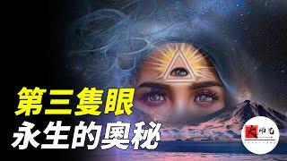 道家天目功，解密第三隻眼，永生的奧秘|seeker大師兄