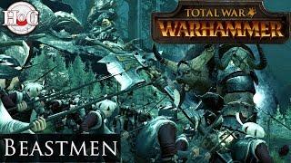 Total War Warhammer Beastmen Faction Overview