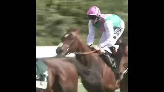  Frankel cruising past his rivals in the 2012 Juddmonte International! - Racing TV