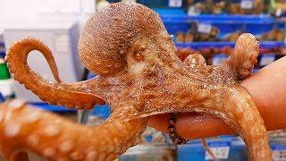 Korean Street Food - GIANT OCTOPUS Seoul Seafood