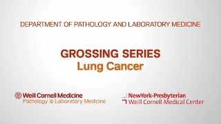 Grossing Lung Pathology Specimens | Department of Pathology and Laboratory Medicine
