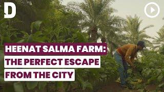 Heenat Salma Farm in Qatar