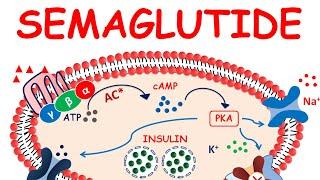 Semaglutide weight loss | Ozempic | Semaglutide injection