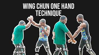 Wing chun one hand technique