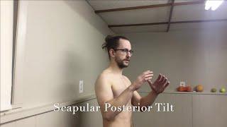 Scapular Posterior Tilt - Dr. Dan Physical Therapy