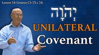 God’s Plan: A Divine Covenant | Price of Impatience | Genesis 15 & 16 | Lesson 16