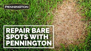 Pennington One Step Complete – Repair Bare Spots in 2 Weeks or Less