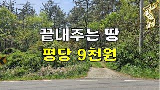 이 땅 좀 보세요~도로 접한 A급 임야 2,240평 평당9천원~[땅지통]