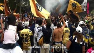 Pumas Campeón 2011 - Celebrando fuera del Estadio !!