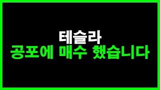 테슬라 공포에 매수 했습니다
