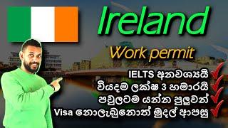 අයර්ලන්තයේ රැකියා වීසා අඩුම වියදමකින් | Ireland Critical Skills work visa 2024 | No IELTS | Sinhala