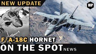 Upgrade my Hornet | Next DCS Update | F4E Phantom Videos | New Animations