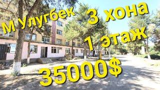 продаётся квартира Ташкент М Улугбек 3 комнат 1 этаж 60 м2 цена низкий готовый ремонтом