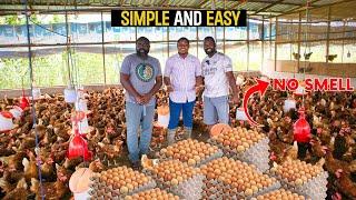 How To Start a Successful Poultry Farm as a BEGINNER in Ghana #poultry #poultryfarm #poultryfarming