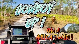 "️ Cattle Roundup on an Africa Twin | Adventure Riding Meets Ranch Life! "