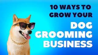 10 Ways To Grow Your Dog Grooming Business