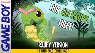 Kann man NUR mit RAUPY Pokemon Blau & Rot durchspielen?