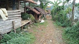 WOOW.. SUASANA DAMAI TERASA,TINGGAL DI PELOKSOK DESA JAUH DARI KERAMAIAN DAN KEBISINGAN