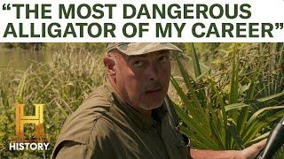 Swamp People: "#1 MOST DANGEROUS GATOR CATCH" (Season 13)