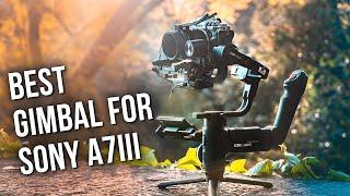 Best Gimbal For Sony A7iii — Handheld Footage Made Easy
