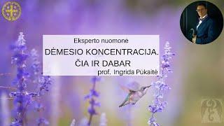 Dėmesio koncentracija. Čia ir dabar