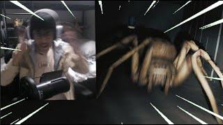 Y'ALL NEVER HEARD ME SCREAM THIS LOUD!!! (Arachnophobia Warning!) | Huntsman