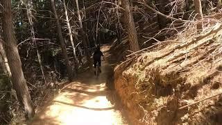 Hero trail, Mystic Mountain, Bright, Victorian