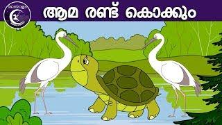 ആമ രണ്ട് കൊക്കും | Malayalam Fairy tales | malayalam moral stories for kids