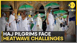 19 pilgrims die of heat in Saudi Arabia's Haj pilgrimage | Latest English News | WION