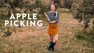 Apple Picking Fall Adventure | Carly Heitlinger