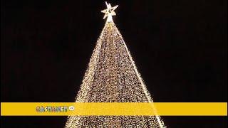 Tree of Hope officially lit