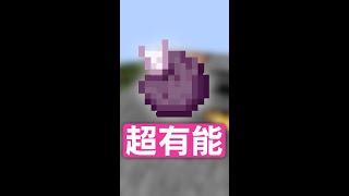 超便利アイテム！コーラスフルーツの使い方3選！！【マイクラ豆知識 解説 裏技】