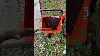 Don’t buy a cheap wood chipper