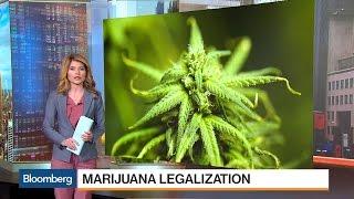 QuickTake: Marijuana's Road to U.S. Legalization