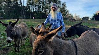 North Carolina Man Has Lived on the Same Farm for 83 Years: Waynnie Takes Us On a Tour on His Farm!!