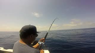 eugene russel and I yellowtail dodo triple hook up