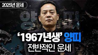 2025년 을사년 운세 / 1967년생 양띠의 전반적인 운세