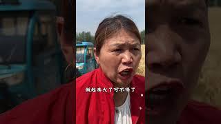 农民不容易#割麦子 #王姐的快乐生活 #农村生活