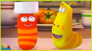 LARVA SEASON 1 EPISODE 100: Spinner / CARTOONS MOVIES NEW VERSION | MINI SERIES FROM ANIMATION