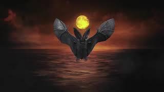 Scary Vampire Bat, Flying!