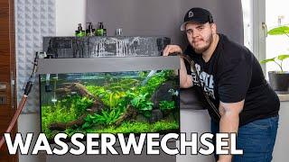 Water change in the Juwel Rio 125 Aquascape Aquarium!