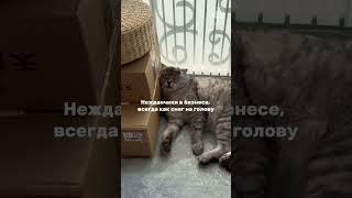 Как планировать, когда непонятно, что будет завтра?