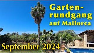 GARTENRUNDGANG auf Mallorca 2024! ️ Mein Garten im September  Aufgenommen am 9.9.2024