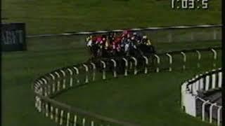 1991 Memsie Stakes - Redelva